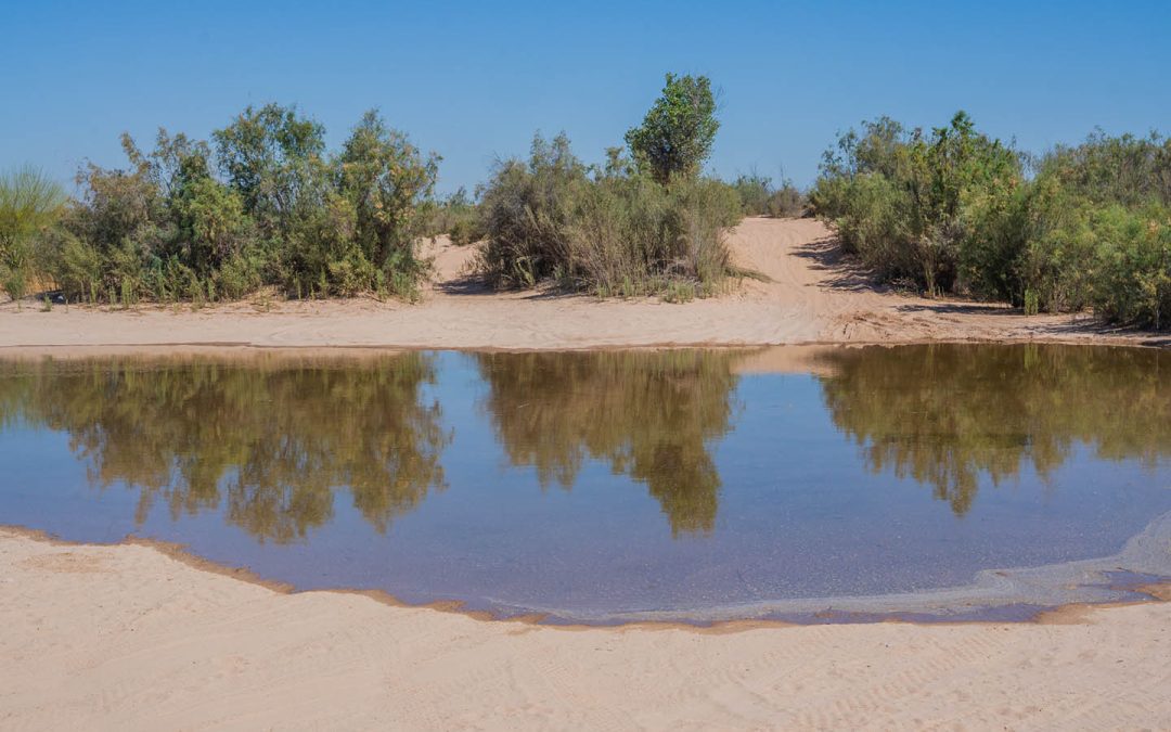 Agua para restaurar