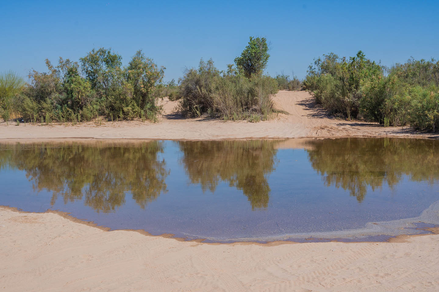Agua para restaurar