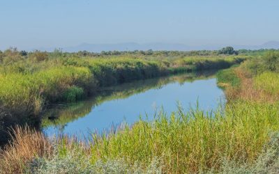 La paz empieza en la naturaleza