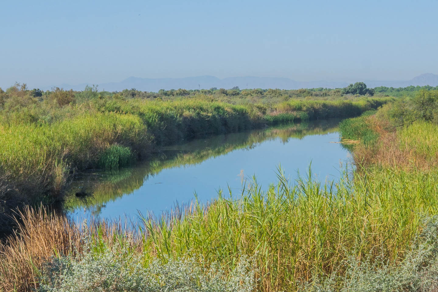 La paz empieza en la naturaleza