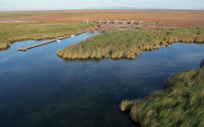 Desalación y naturaleza: retos binacionales en la frontera México-Estados Unidos