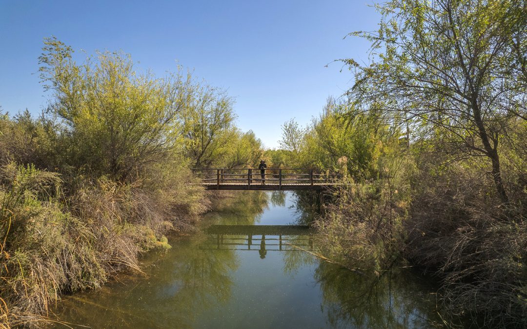 Remontar el río con poca agua